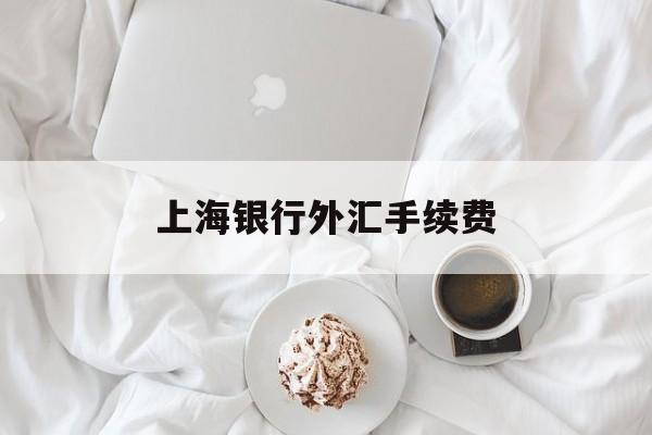 上海银行外汇手续费(上海银行外汇手续费多少)